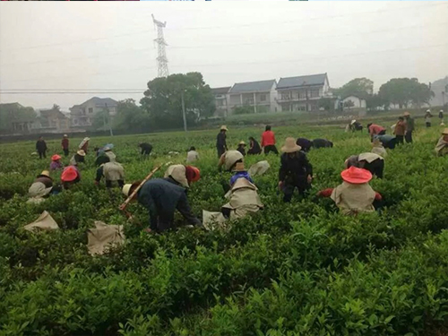 客户案例