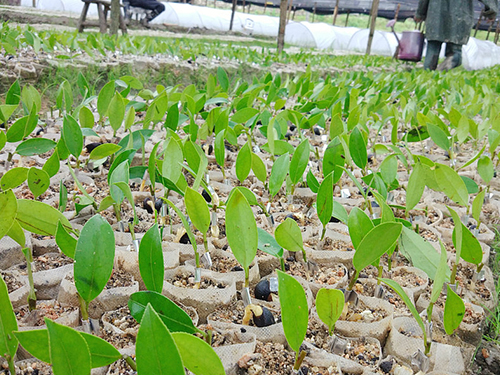 田间的管理