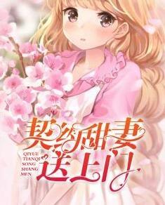 叶辰沈傲雪林若曦的小说封面