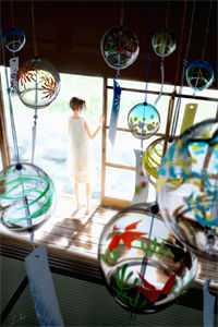 凤倾九重素婉是什么小说封面