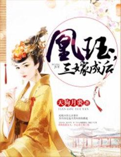 陆叶白风雪封面