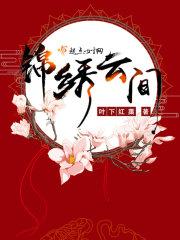 锦绣云间封面