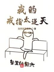 我的戒指太逆天封面