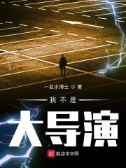 我不是大导演封面