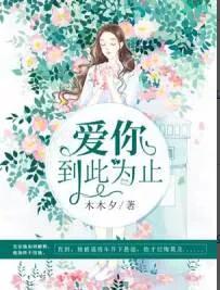 爱你到此为止封面