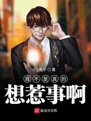 我不是真的想惹事啊封面