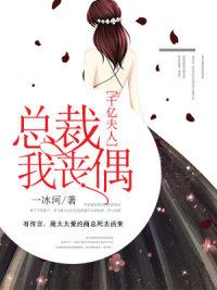 元婧安宋乾川完结封面