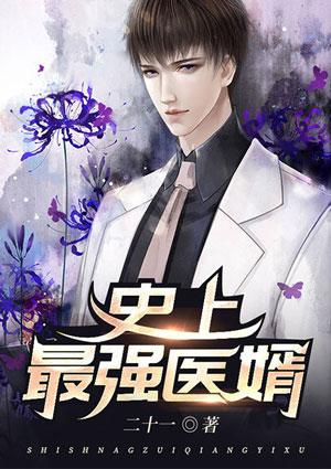 史上最强医婿封面