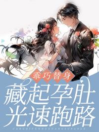 苏又灵厉霆西小说名字封面