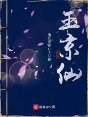 精品首辅反派悍妻封面