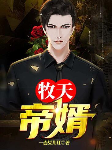 牧天帝婿txt免费阅读无弹窗封面