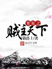 叶轩魏忠贤小说推荐封面