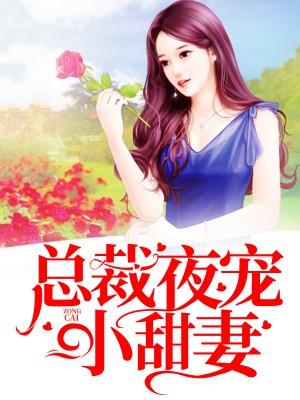 陆文昭姜以晴封面