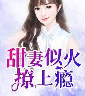 甜妻似火撩上瘾封面