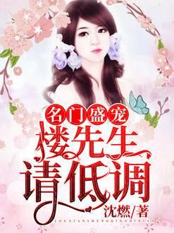 沈良平林清和小说全文封面