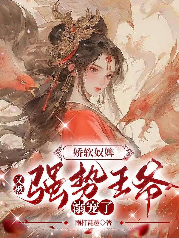 婢子绝色夜北承篇章封面
