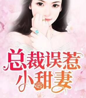 总裁误惹小甜妻封面