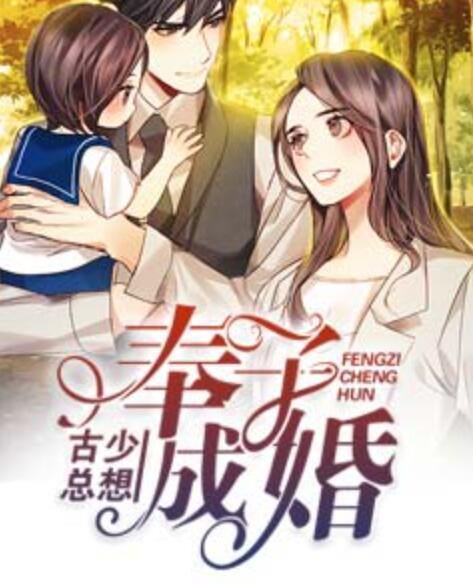 古少总想奉子成婚封面