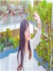 主人公叫宋真霍云洲封面