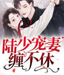 陆少宠妻缠不休封面
