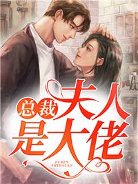 白苓傅琛全文免费阅读封面