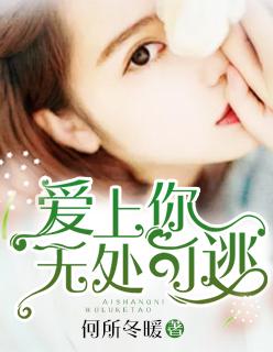 一只小小鸟许尽欢无删减封面