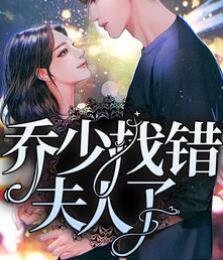 乔少找错夫人了封面