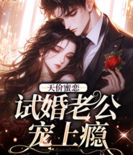 天价蜜恋：试婚老公宠上瘾封面