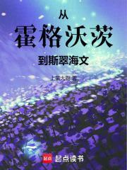 从霍格沃茨到斯翠海文封面