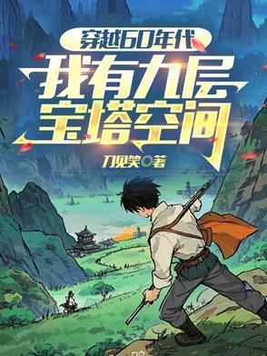 穿越60年代，我有九层宝塔空间封面