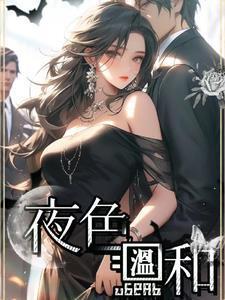 夜色温和封面