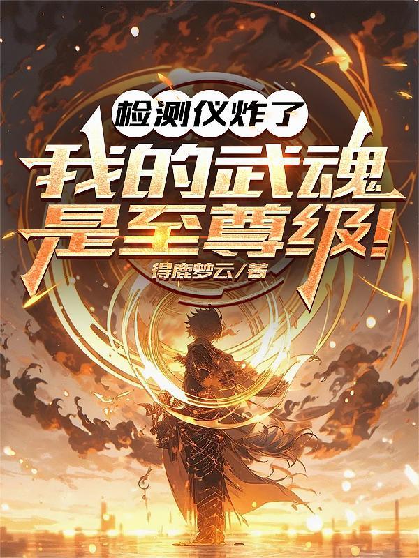检测仪炸了：我的武魂是至尊级！封面