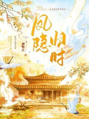 凤隐归时封面