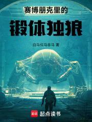 赛博朋克里的锻体独狼封面