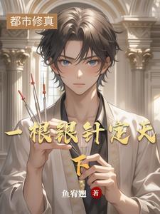 我以银针安天下封面