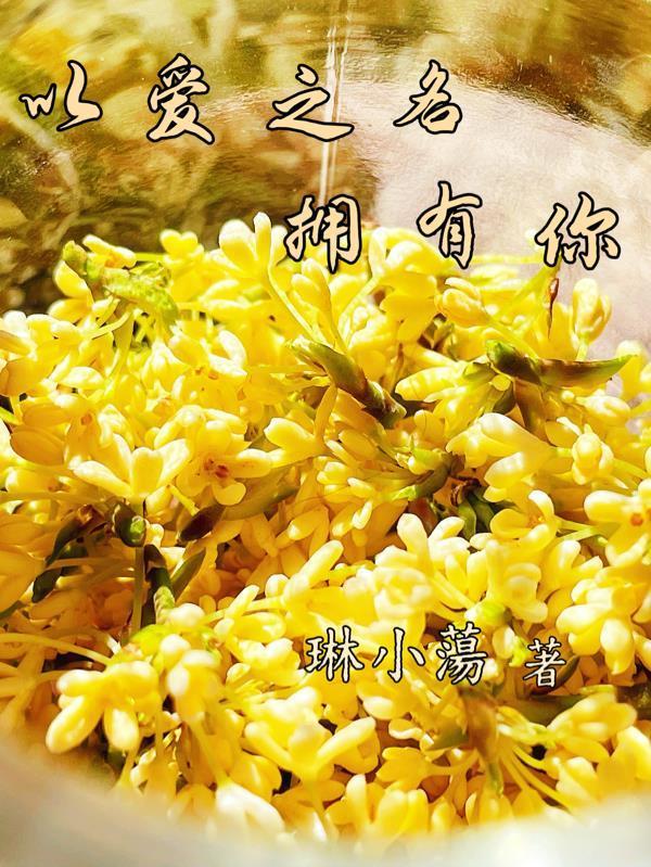 以爱之名拥有你封面