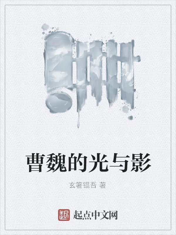 曹魏的光与影封面