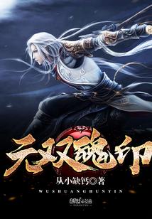 无双魂印封面