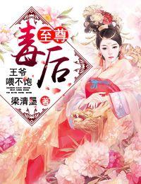 不如不遇倾城色苏小婉封面