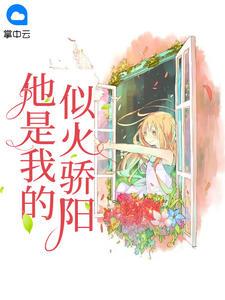 他是我的似火骄阳封面