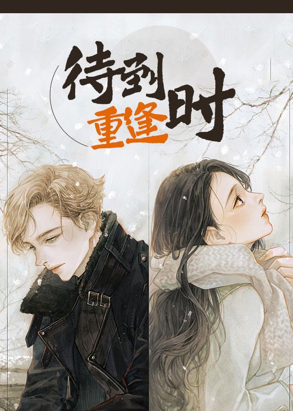 待到重逢时封面