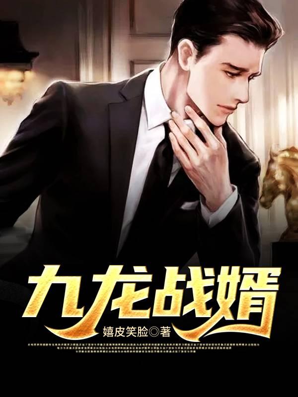 九龙战婿封面