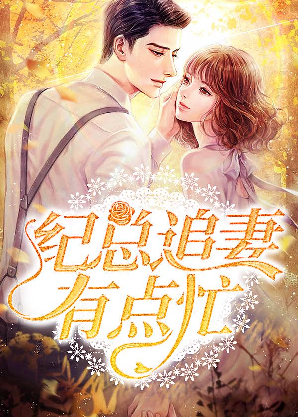 纪总追妻有点忙封面