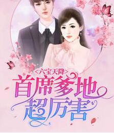 淘宝司冥寒小说封面