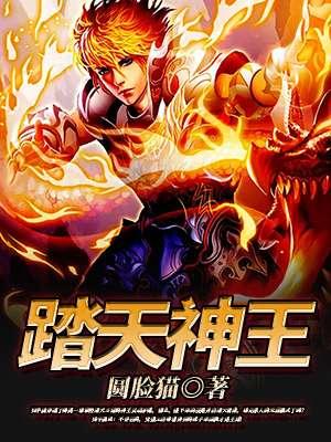 踏天神王封面