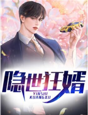 隐世狂婿封面