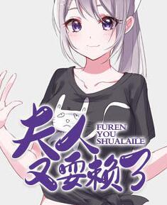 夫人又耍赖了封面