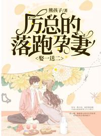 娶一送二，厉总的落跑孕妻封面