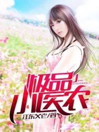 极品小医农封面
