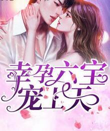 叶紫夏顾南臣封面